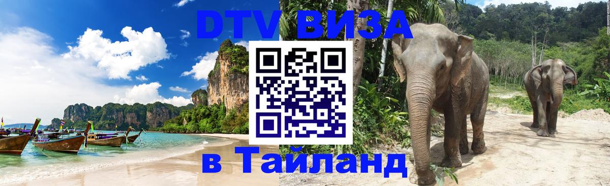 Сколько стоит DTV виза — актуальные цены, оформление даже без документов - Керчь  20.11.2025 